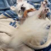 ヒメ日記 2025/04/23 19:42 投稿 高木　はるか 八王子だョ！変態集合