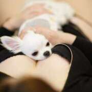 ヒメ日記 2025/04/24 12:33 投稿 高木　はるか 八王子だョ！変態集合