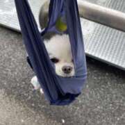 ヒメ日記 2025/04/26 16:37 投稿 高木　はるか 八王子だョ！変態集合