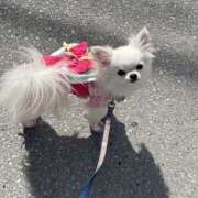 ヒメ日記 2025/05/01 16:19 投稿 高木　はるか 八王子だョ！変態集合