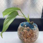 ヒメ日記 2025/05/01 22:18 投稿 高木　はるか 八王子だョ！変態集合