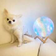 ヒメ日記 2025/05/09 13:26 投稿 高木　はるか 八王子だョ！変態集合