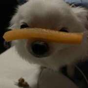 ヒメ日記 2025/05/15 12:49 投稿 高木　はるか 八王子だョ！変態集合