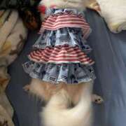 ヒメ日記 2025/05/17 12:48 投稿 高木　はるか 八王子だョ！変態集合