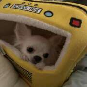 ヒメ日記 2025/05/17 18:27 投稿 高木　はるか 八王子だョ！変態集合