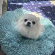 ヒメ日記 2025/05/25 13:12 投稿 高木　はるか 八王子だョ！変態集合