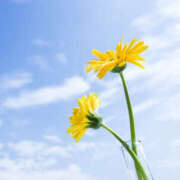 ヒメ日記 2025/05/29 07:39 投稿 高木　はるか 八王子だョ！変態集合