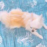 ヒメ日記 2025/06/06 12:39 投稿 高木　はるか 八王子だョ！変態集合