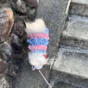 ヒメ日記 2025/06/08 09:36 投稿 高木　はるか 八王子だョ！変態集合