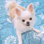 ヒメ日記 2025/06/11 10:16 投稿 高木　はるか 八王子だョ！変態集合