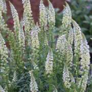 ヒメ日記 2025/06/13 23:02 投稿 高木　はるか 八王子だョ！変態集合