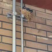 ヒメ日記 2025/06/22 00:04 投稿 高木　はるか 八王子だョ！変態集合