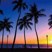 ヒメ日記 2025/07/02 07:01 投稿 高木　はるか 八王子だョ！変態集合