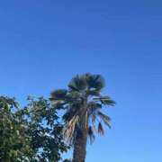 ヒメ日記 2025/07/14 17:02 投稿 高木　はるか 八王子だョ！変態集合