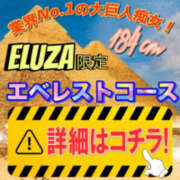 ヒメ日記 2025/08/11 07:33 投稿 高木　はるか 八王子だョ！変態集合