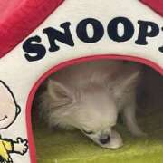 ヒメ日記 2025/08/17 12:07 投稿 高木　はるか 八王子だョ！変態集合