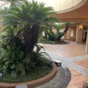 ヒメ日記 2025/08/23 21:47 投稿 高木　はるか 八王子だョ！変態集合