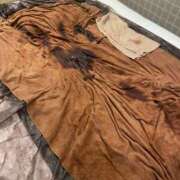 ヒメ日記 2025/09/02 07:08 投稿 高木　はるか 八王子だョ！変態集合