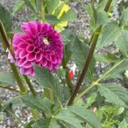 ヒメ日記 2025/09/19 18:11 投稿 高木　はるか 八王子だョ！変態集合