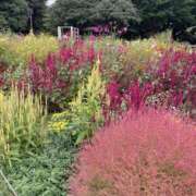 ヒメ日記 2025/10/11 09:10 投稿 高木　はるか 八王子だョ！変態集合