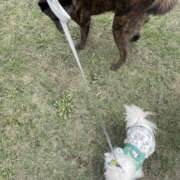 ヒメ日記 2025/10/18 10:39 投稿 高木　はるか 八王子だョ！変態集合