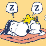 ヒメ日記 2025/11/30 19:37 投稿 高木　はるか 八王子だョ！変態集合