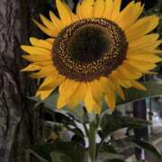 ヒメ日記 2025/12/02 13:37 投稿 高木　はるか 八王子だョ！変態集合