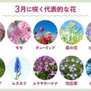 ヒメ日記 2026/02/26 08:28 投稿 高木　はるか 八王子だョ！変態集合