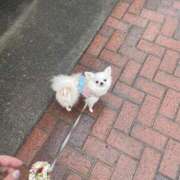 ヒメ日記 2026/02/26 09:38 投稿 高木　はるか 八王子だョ！変態集合