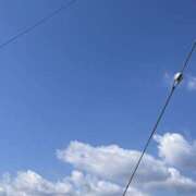 ヒメ日記 2026/03/12 10:43 投稿 高木　はるか 八王子だョ！変態集合