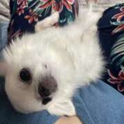 ヒメ日記 2026/03/12 17:09 投稿 高木　はるか 八王子だョ！変態集合