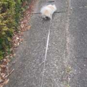 ヒメ日記 2026/03/13 15:15 投稿 高木　はるか 八王子だョ！変態集合