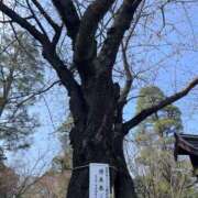 ヒメ日記 2026/03/17 18:00 投稿 高木　はるか 八王子だョ！変態集合