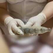 ヒメ日記 2026/03/22 11:37 投稿 高木　はるか 八王子だョ！変態集合