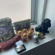 ヒメ日記 2026/03/29 16:49 投稿 高木　はるか 八王子だョ！変態集合