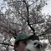 ヒメ日記 2026/03/30 15:29 投稿 高木　はるか 八王子だョ！変態集合