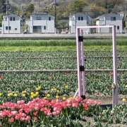 ヒメ日記 2026/04/03 20:45 投稿 高木　はるか 八王子だョ！変態集合