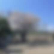 ヒメ日記 2026/04/05 13:24 投稿 高木　はるか 八王子だョ！変態集合