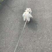 ヒメ日記 2026/04/08 12:10 投稿 高木　はるか 八王子だョ！変態集合