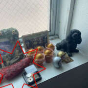 ヒメ日記 2026/04/12 08:08 投稿 高木　はるか 八王子だョ！変態集合