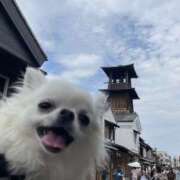 ヒメ日記 2026/07/30 16:06 投稿 高木　はるか 八王子だョ！変態集合