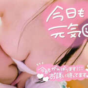 ヒメ日記 2026/03/15 11:00 投稿 ユキナ【FG系列】 デリぽちゃin松戸（FG系列）