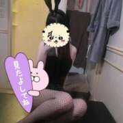 ヒメ日記 2025/10/19 10:17 投稿 ナギ♡素人アイドル超え ドMなバニーちゃん 名古屋・池下店