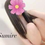 ヒメ日記 2025/12/07 14:50 投稿 月野すみれ 月の真珠-五反田-