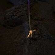 ヒメ日記 2025/08/16 17:07 投稿 ふうか an_an（アンアン）