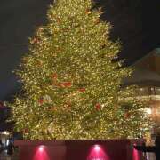 ヒメ日記 2025/12/12 19:58 投稿 ふうか an_an（アンアン）