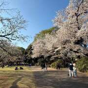 ヒメ日記 2026/04/03 20:39 投稿 ふうか an_an（アンアン）