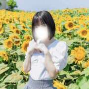 ヒメ日記 2025/08/09 08:03 投稿 涼宮 みお 癒しの円環～Art of Massage～五反田