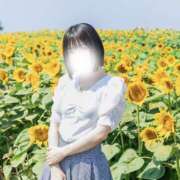 ヒメ日記 2025/08/11 21:45 投稿 涼宮 みお 癒しの円環～Art of Massage～五反田