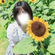 ヒメ日記 2025/08/23 21:05 投稿 涼宮 みお 癒しの円環～Art of Massage～五反田